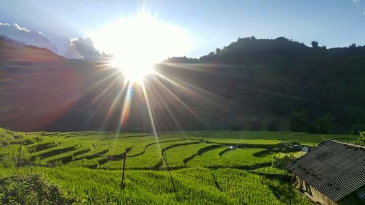 Nguyen Dang Guesthouse Sa Pa Luaran gambar